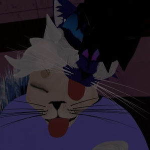 Meet your Posher, Angel